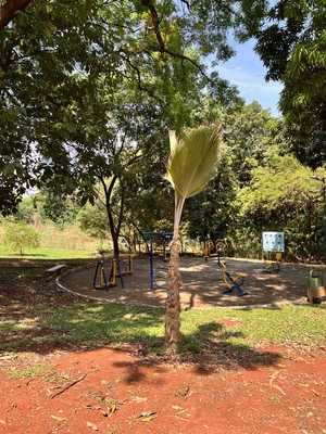 Restaurante Lago Das Rosas