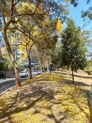 Restaurante Lago Das Rosas