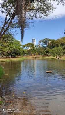 Restaurante Lago Das Rosas