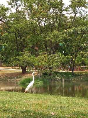 Restaurante Lago Das Rosas
