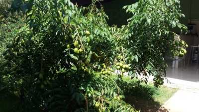 I B Pasteis Sanduicheria