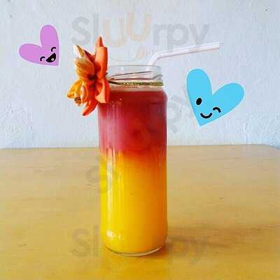 Terracota Gastronômico