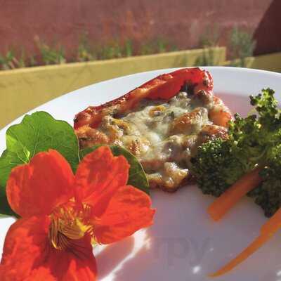 Terracota Gastronômico