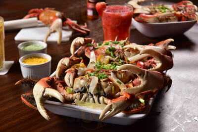 Barraca Terra Brasil