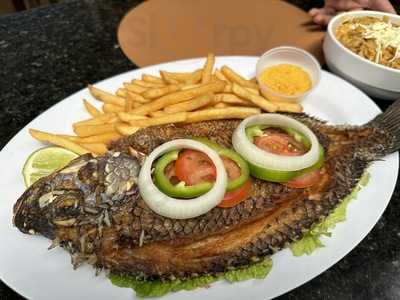 Barraca Terra Brasil