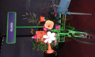 Relíquias Do Brasil