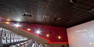 Au Au Jardim Das Americas