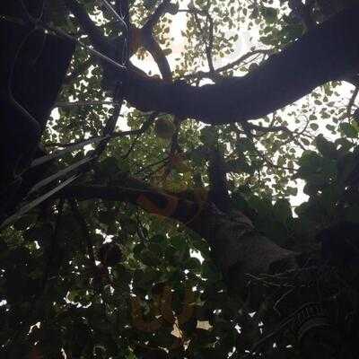 Tête à Tête Bistrot E Caffe