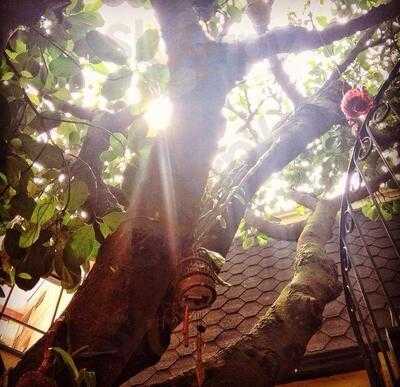 Tête à Tête Bistrot E Caffe