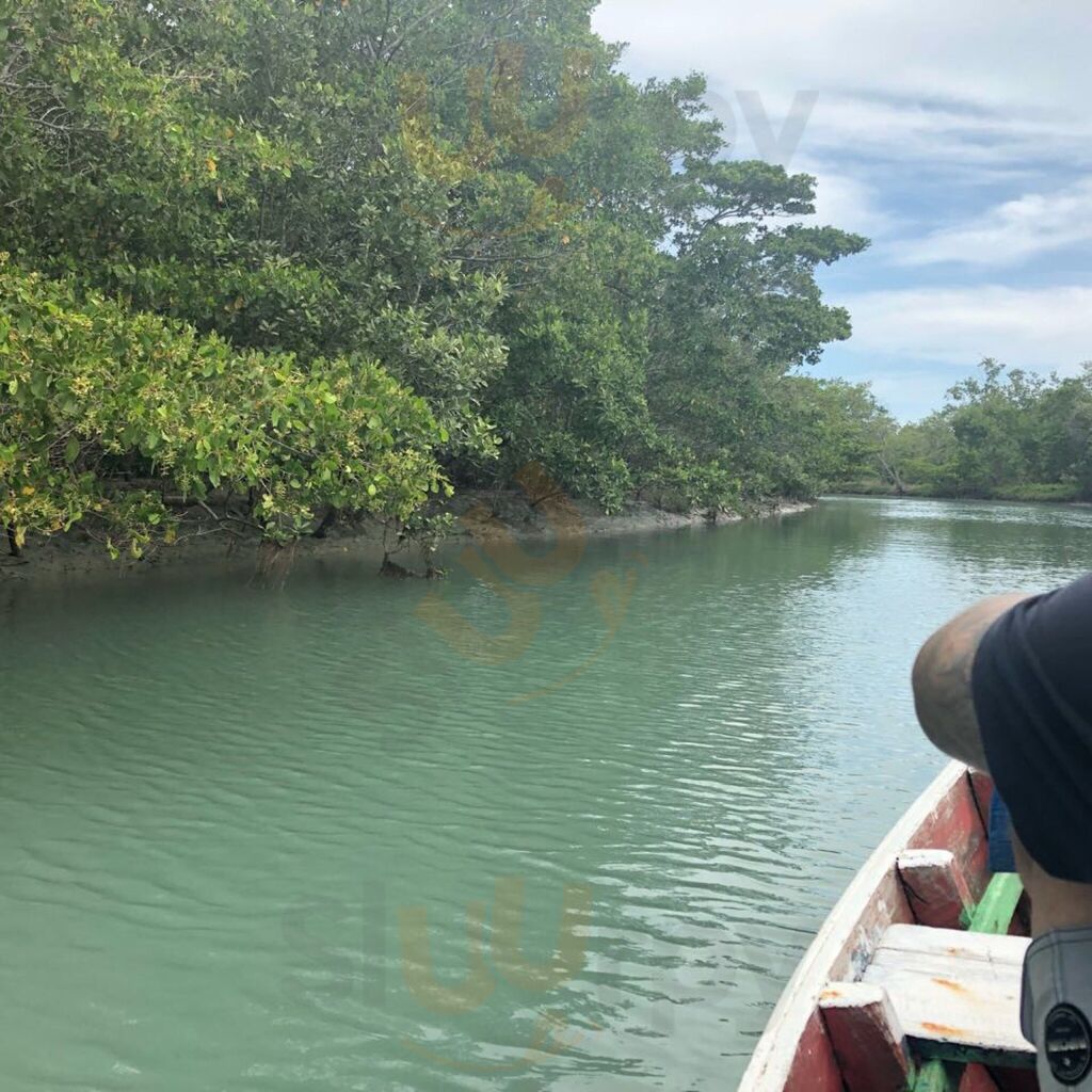Jessica Oliveira Dos Santos
