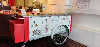 Trevisi