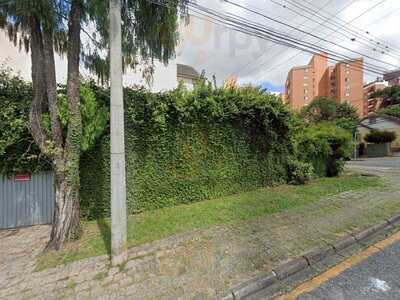 Pizzaria Terra Nostra