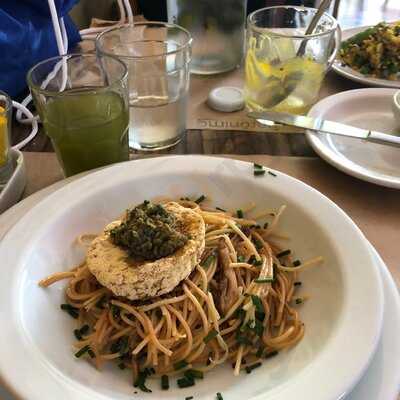 Gerônimo Vegetariano 70's