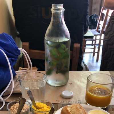 Gerônimo Vegetariano 70's