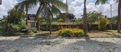 Restaurante Rota Do Sol