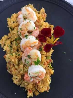 Cinque Sensi Gastronomia