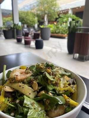 Shaka Fresh And Green