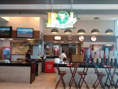 Boi Lourdes Venda Nova