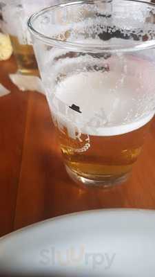 Nina Grill E Saladas