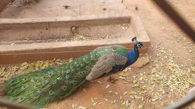 Divina Gula Restaurante