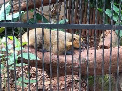 Divina Gula Restaurante