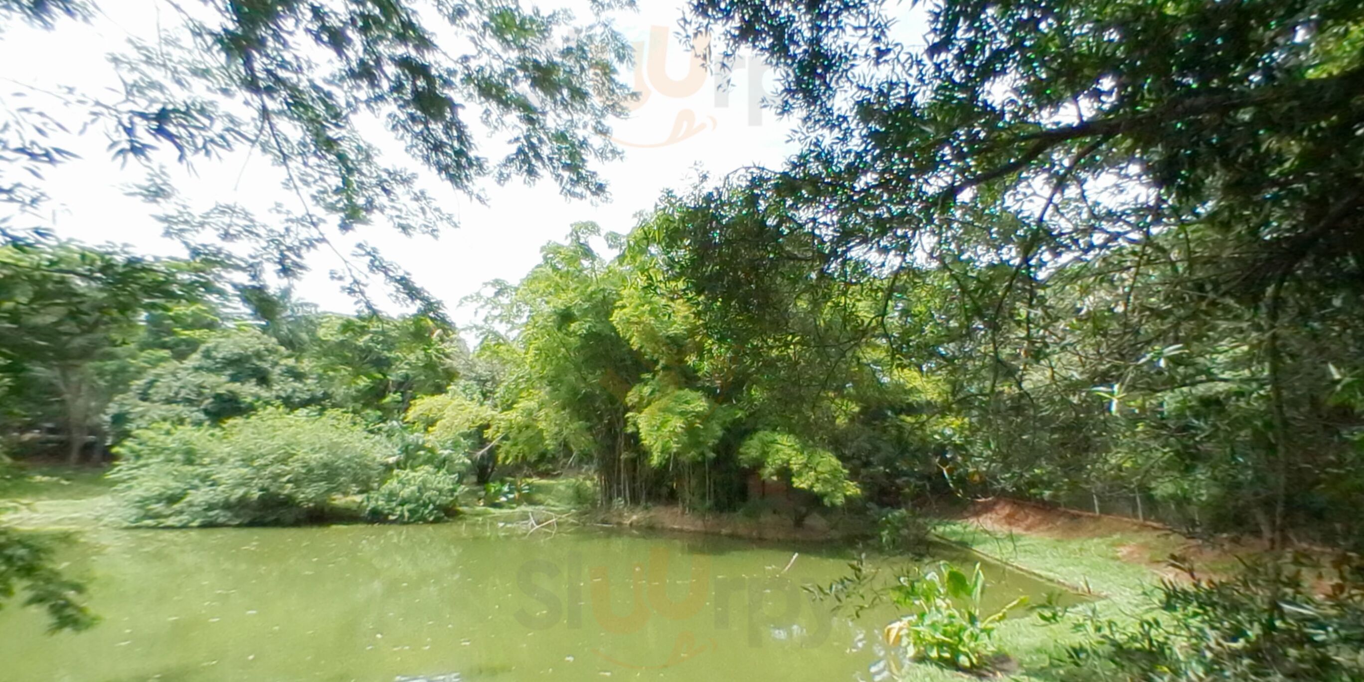 Divina Gula Restaurante