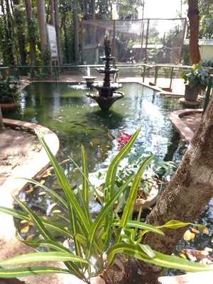 Divina Gula Restaurante