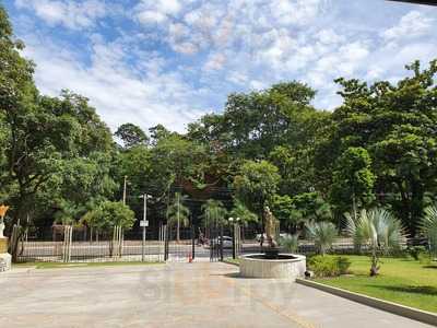 Lanchonete E Sorveteria Louzada