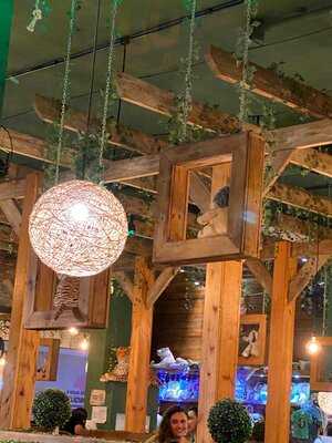 Mundo Animal Lanches