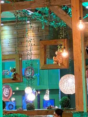 Mundo Animal Lanches