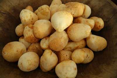 Trem Bao Beaga Paodequeijaria