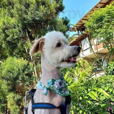 Restaurante Villa Dos Ganchos