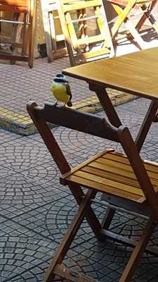 Lanchonete Nascimento