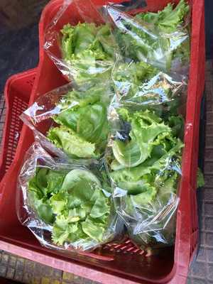 Lanchonete Nascimento