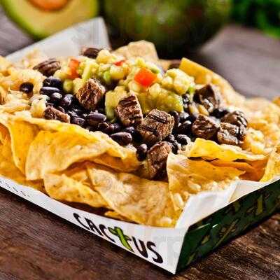 Cactus Mexican Food