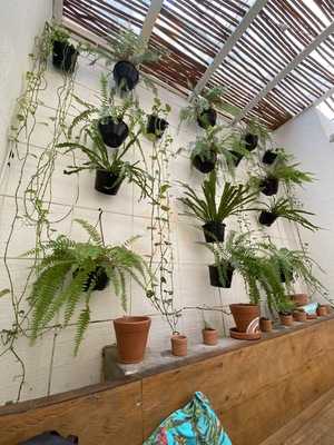 Casa Graviola (itaim Bibi)