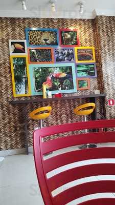 Açai Concept Centro