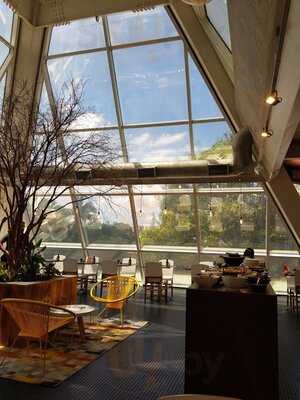 Petí Panamericana Groenlândia