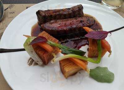 Petí Panamericana Groenlândia