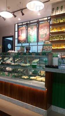 Lanchonete Pao De Queijo Modelo