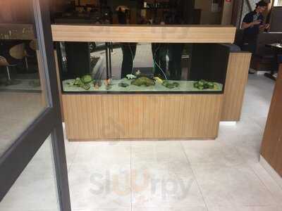 Natsumi Sushi Jaguaré