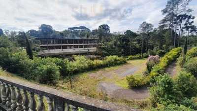 Restaurante Kiko Beiruth