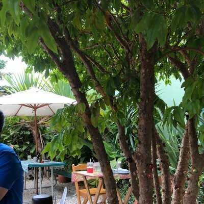 Seu Quintal Comedoria