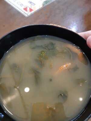 Amazon Fruit Açaiteria