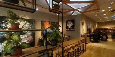 Amazon Fruit Açaiteria