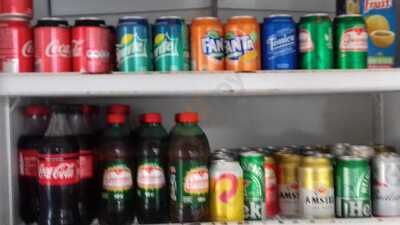 Restaurante Sal Da Terra