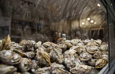 Ostreria Floripa Empório Bar