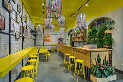 Samba Pastel & Birita