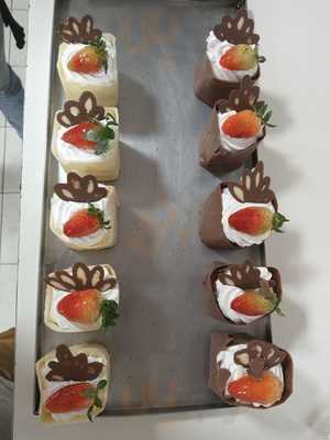 Photo 4