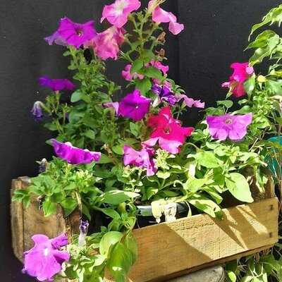 Divino RetrÔ Gastrobar & Café